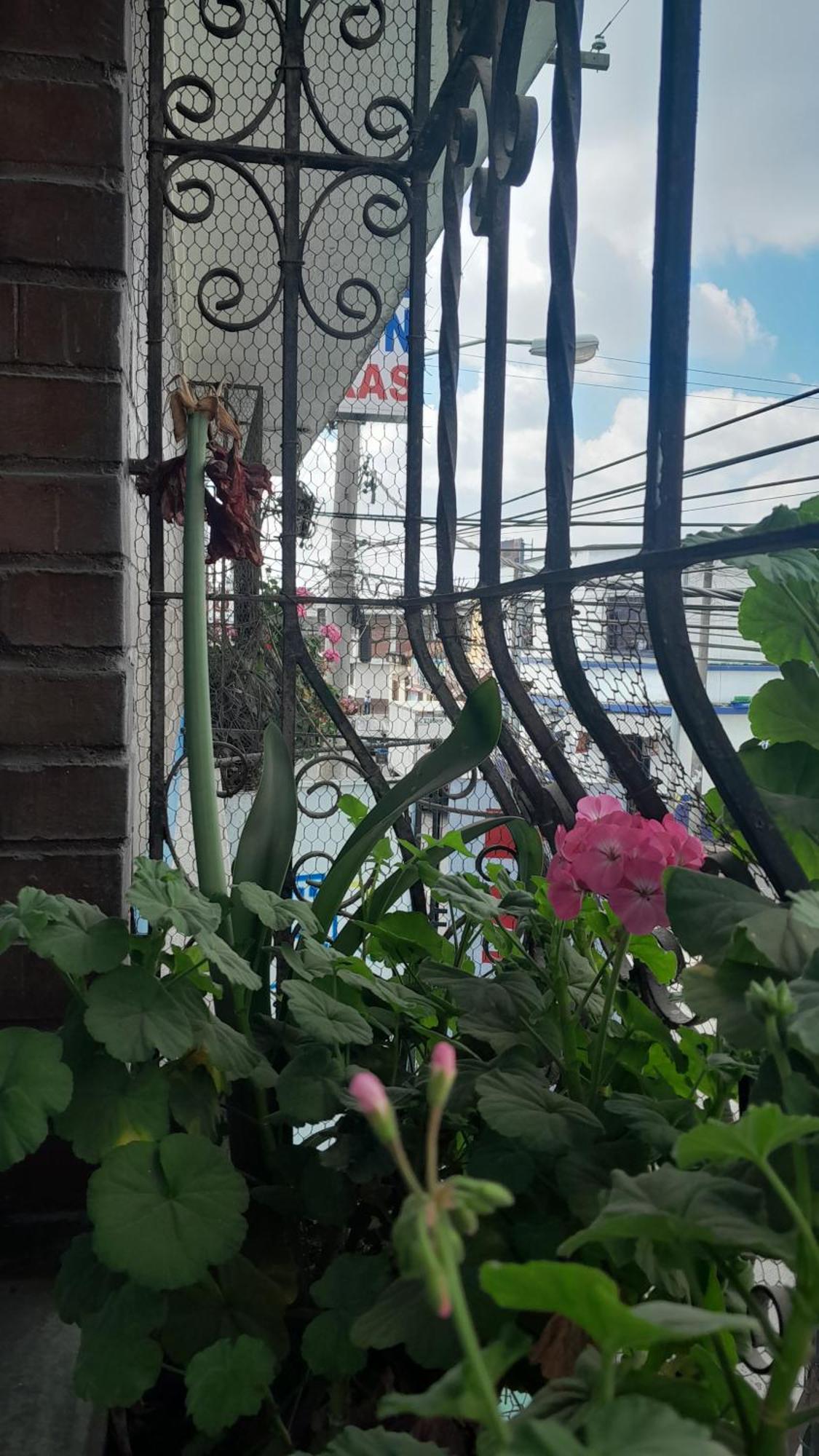 Hotel El Meson Guatemala ภายนอก รูปภาพ